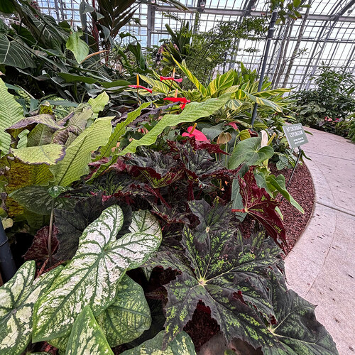 GPOD on the Road: Lauritzen Gardens - Fine Gardening