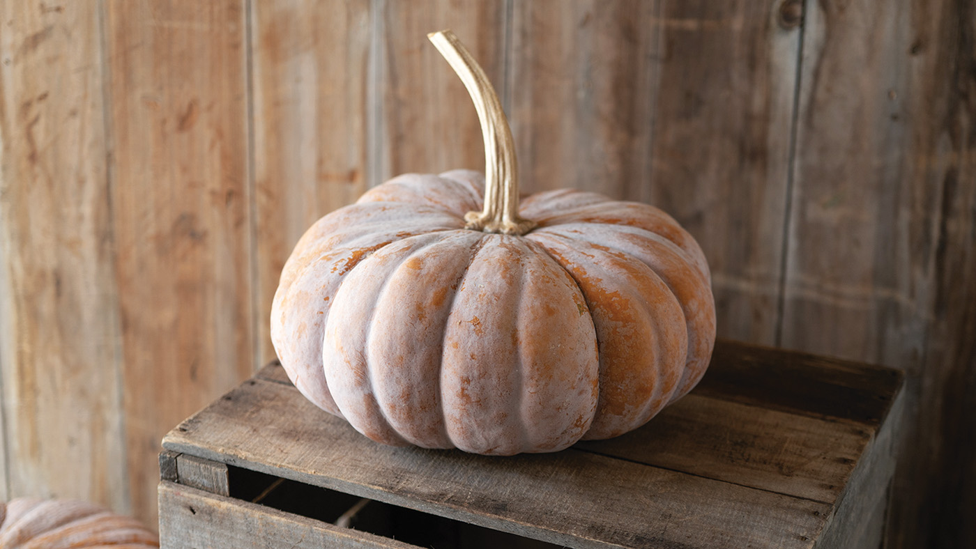 Wan Fu pumpkin photo courtesy Johnny’s Selected Seeds