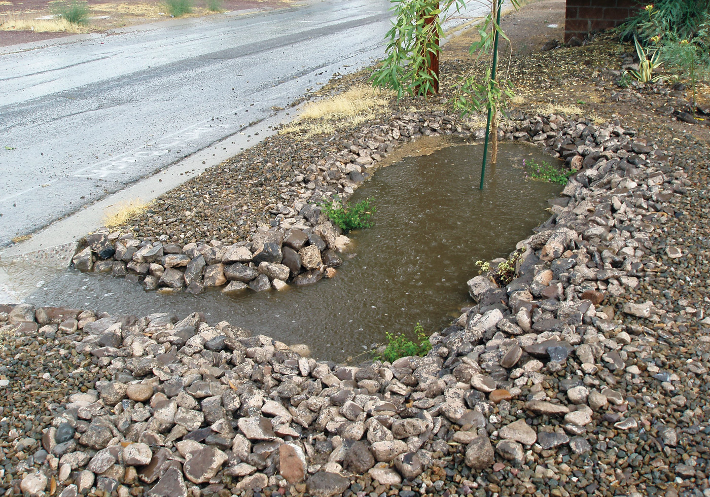 curb cuts to redirect rain water
