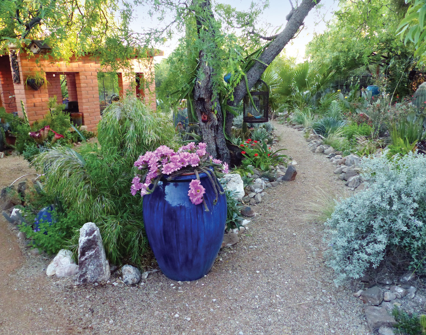 Rocky site after years of growth photo by Dan Johnson