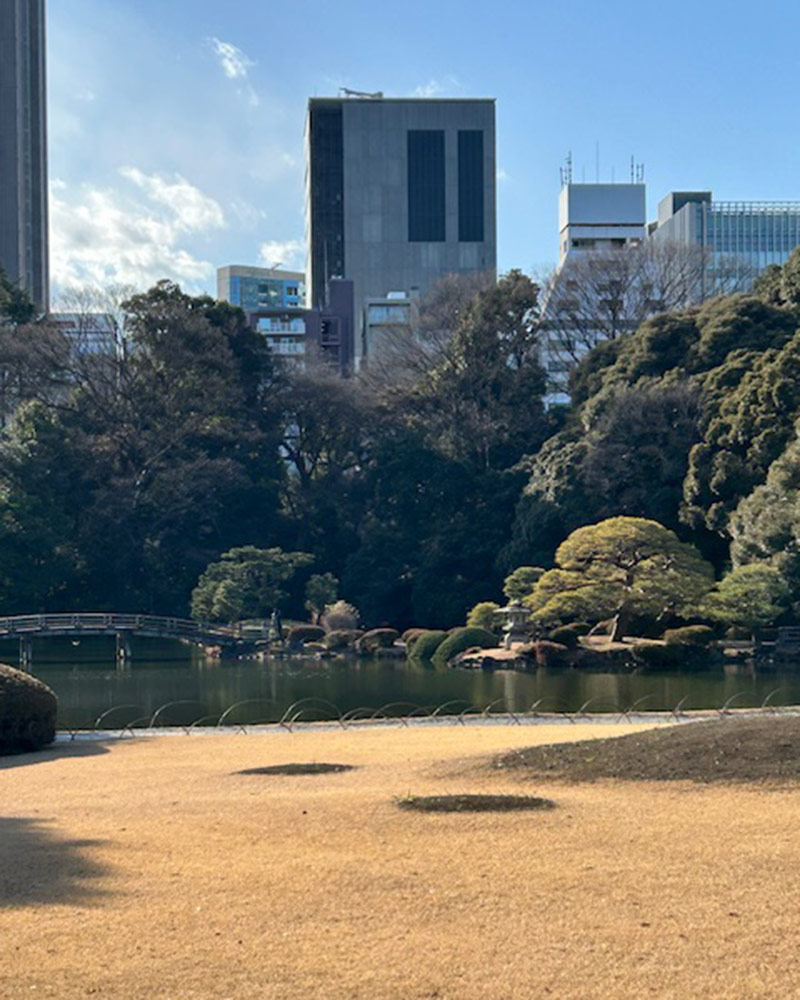 Shinjuku Gyoen National Garden
