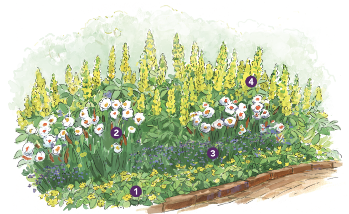 Expert Spring Garden Layout for the Mid-Atlantic - Fine Gardening