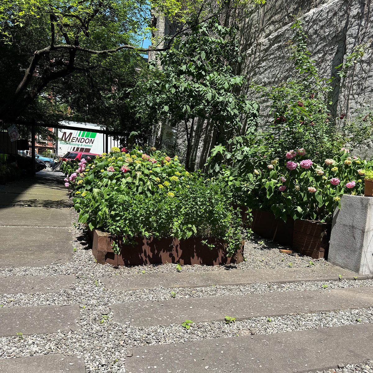 raised bed in city community garden