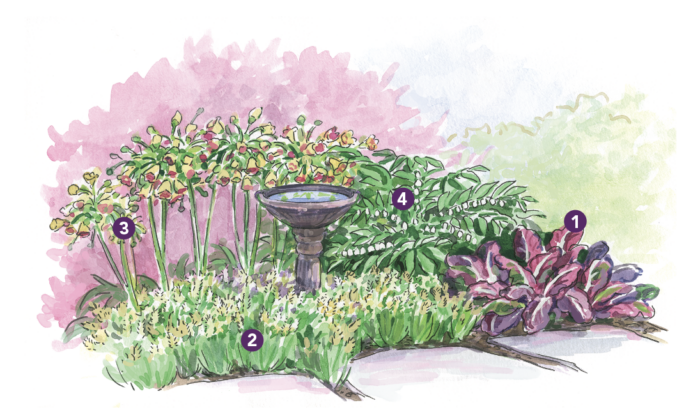 Expert Spring Garden Layout for the Midwest - Fine Gardening