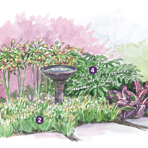 Expert Spring Garden Layout for the Midwest - Fine Gardening