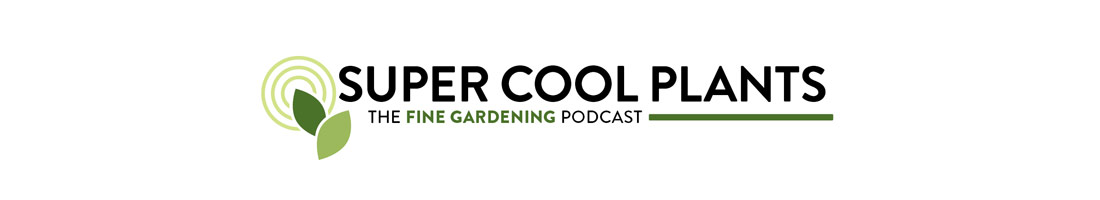 Episode 4: Plants for Drought - Fine Gardening