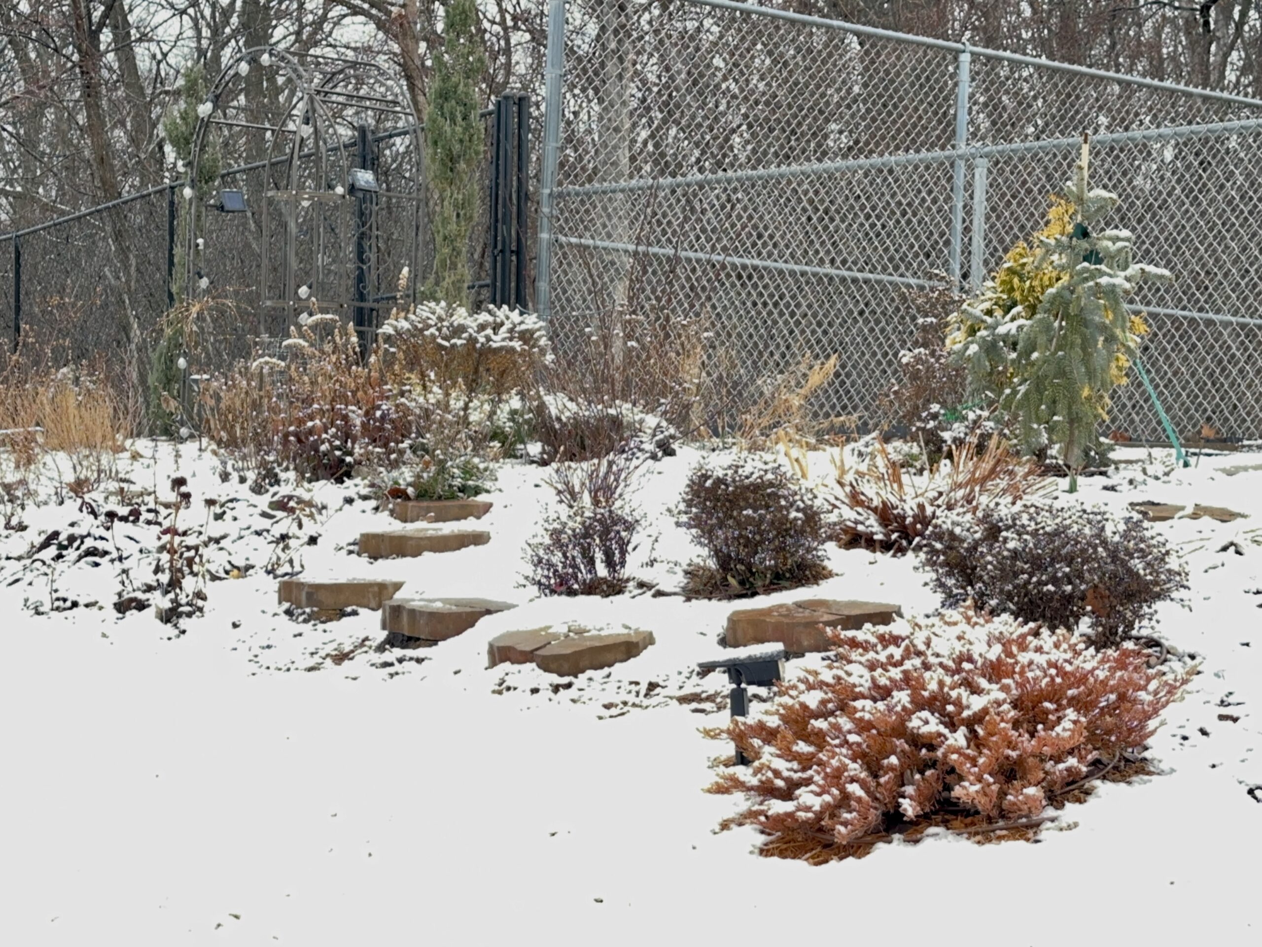 snow on the back garden