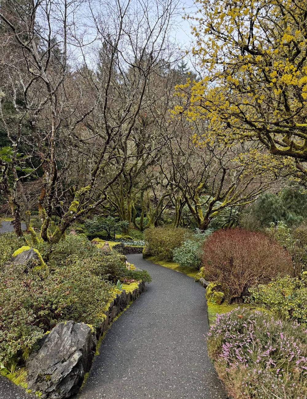 path in Japanese garden in early spring