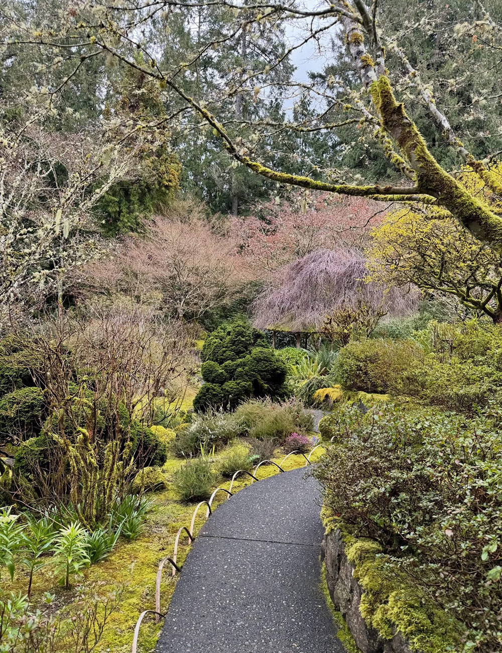 path through Japanese garden
