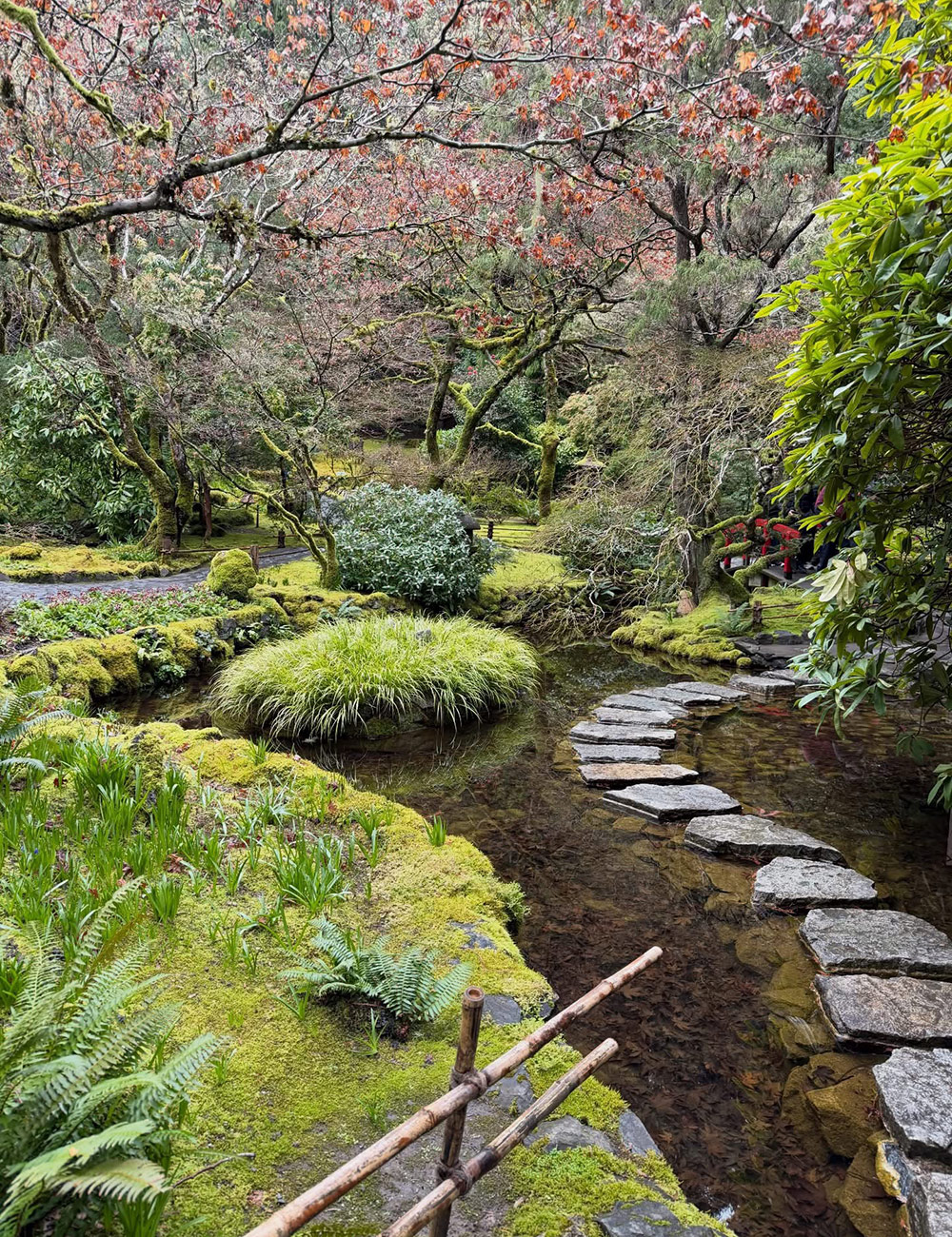 stepping stone path through water garden