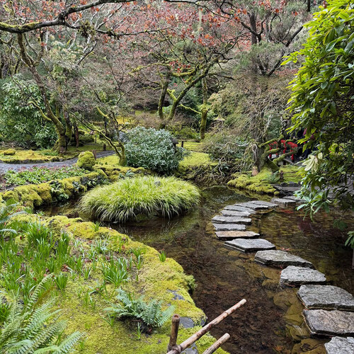 と*け様 新タランチュラ Page & Plant In Japan 6CD+1 Welcome to Japan's garden.This time we will make a small flower