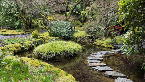 と*け様 新タランチュラ Page & Plant In Japan 6CD+1 Cherry's Tour of The Butchart Gardens: The Japanese Garden - Fine