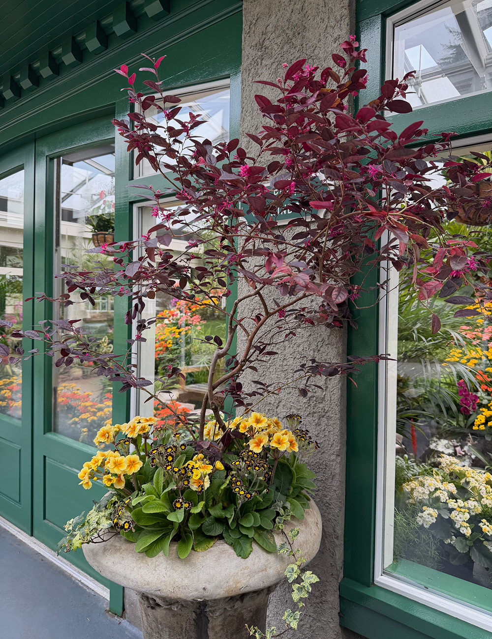 spring container planting