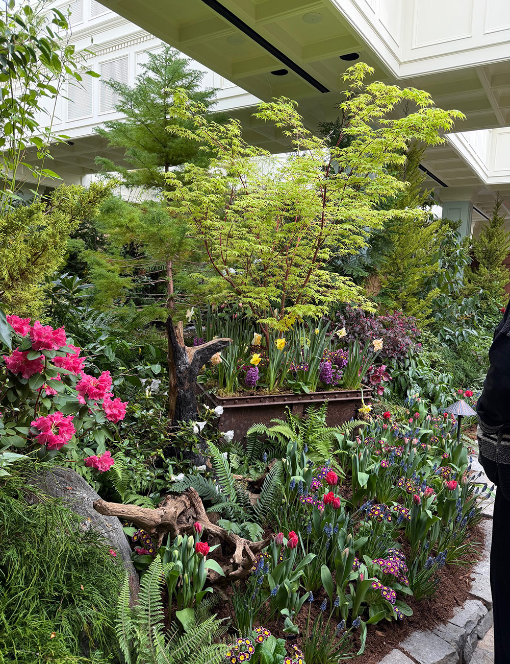 indoor spring garden