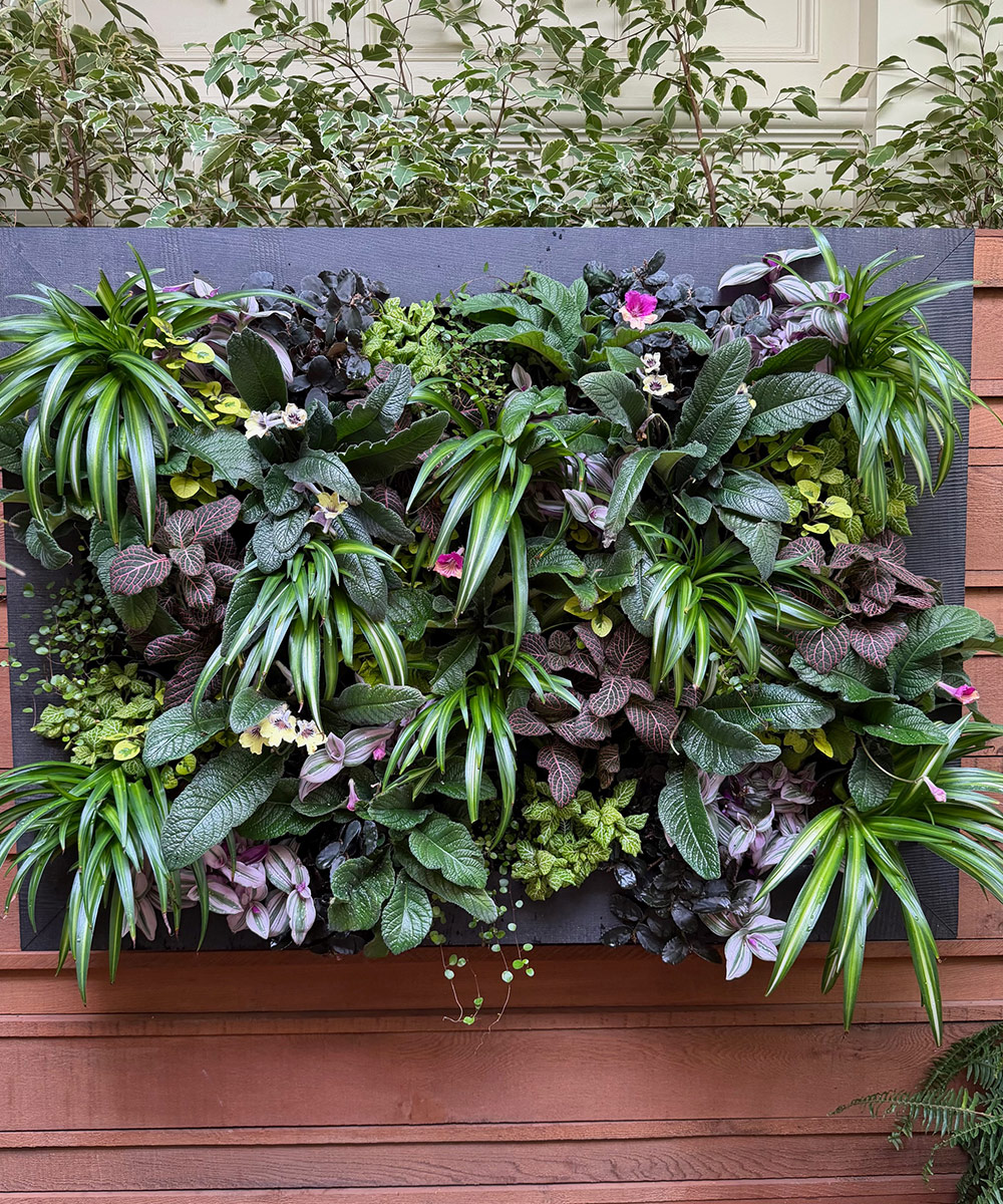 living wall with tropical plants