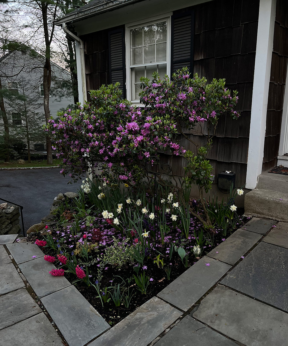 small spring garden bed