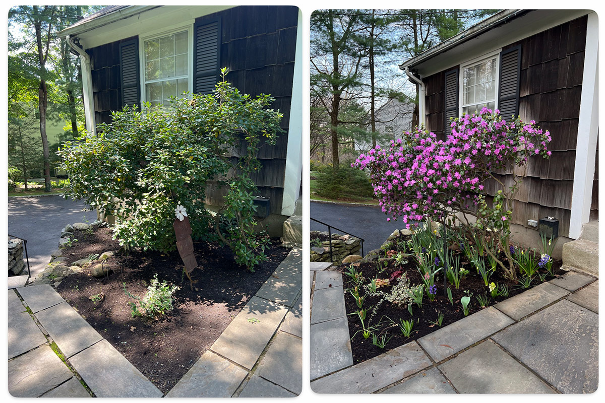 small garden bed in fall and again in spring