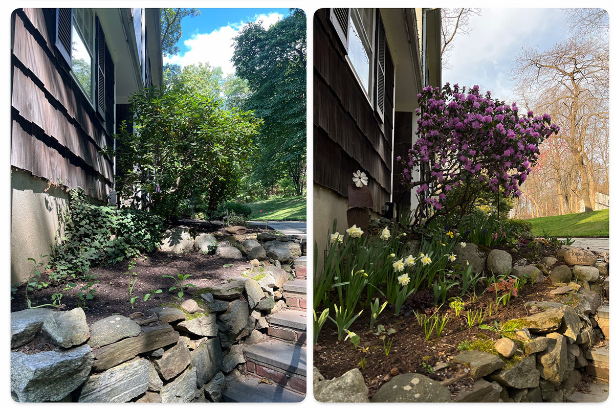 shade garden in fall and again in spring