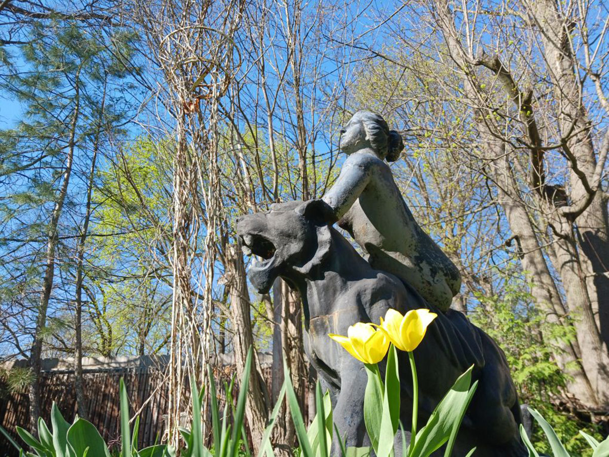 yellow tulip in front of garden statue