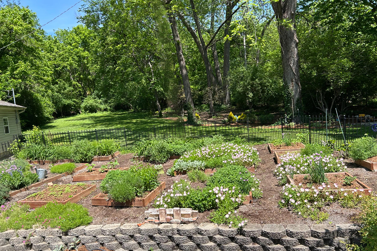 full sun garden in spring