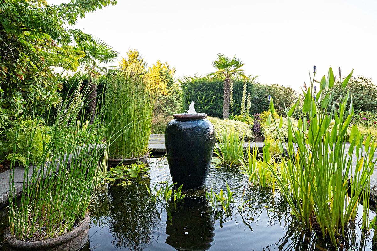 Reflection pond