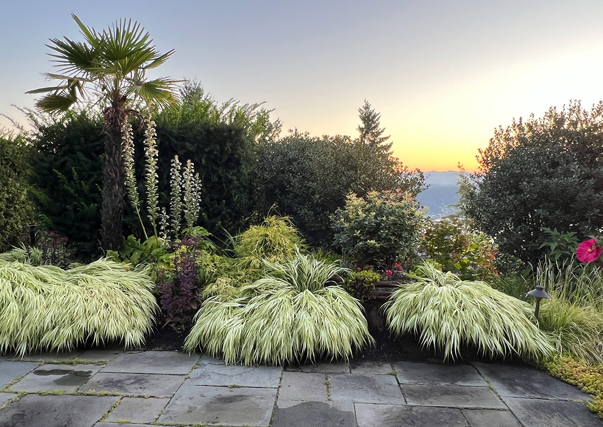 border with lush and tropical plants