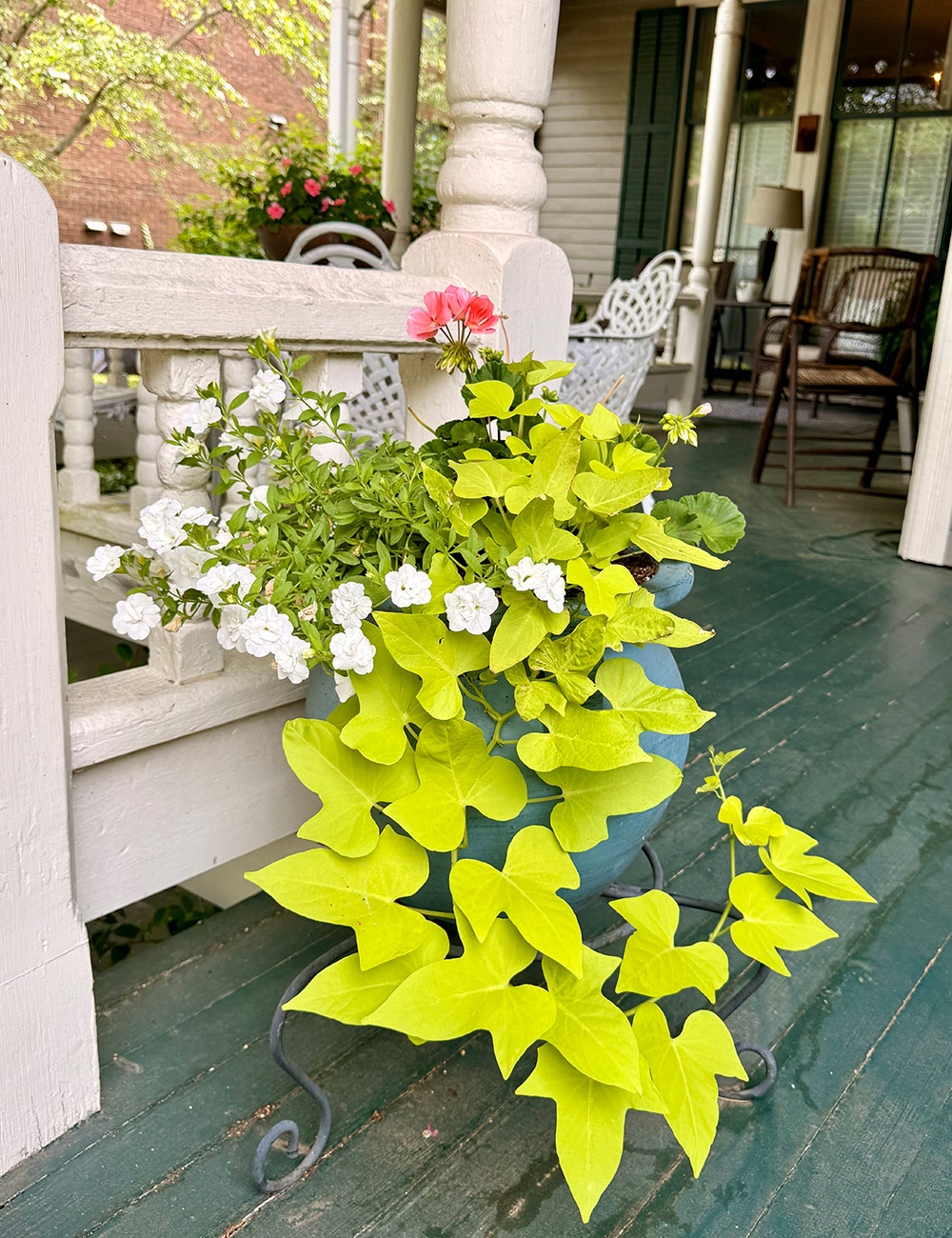 container with bright green foliage