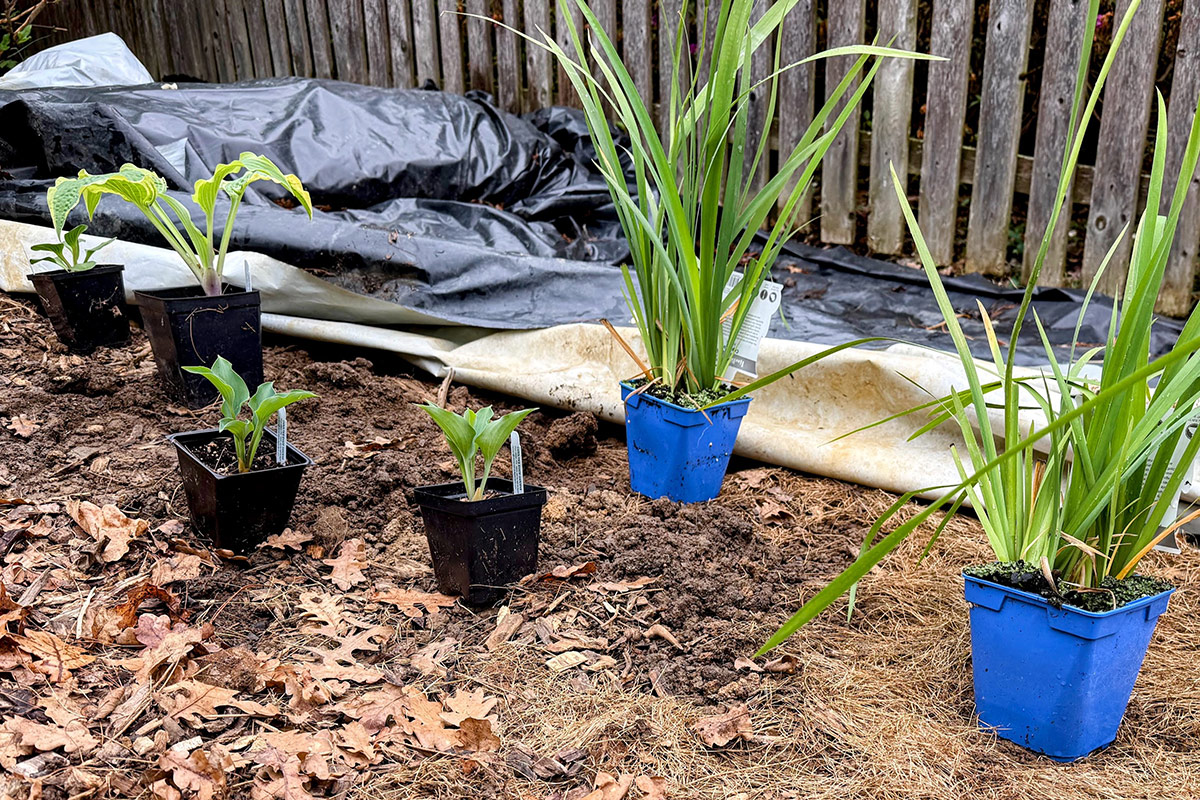 preparing for plantings