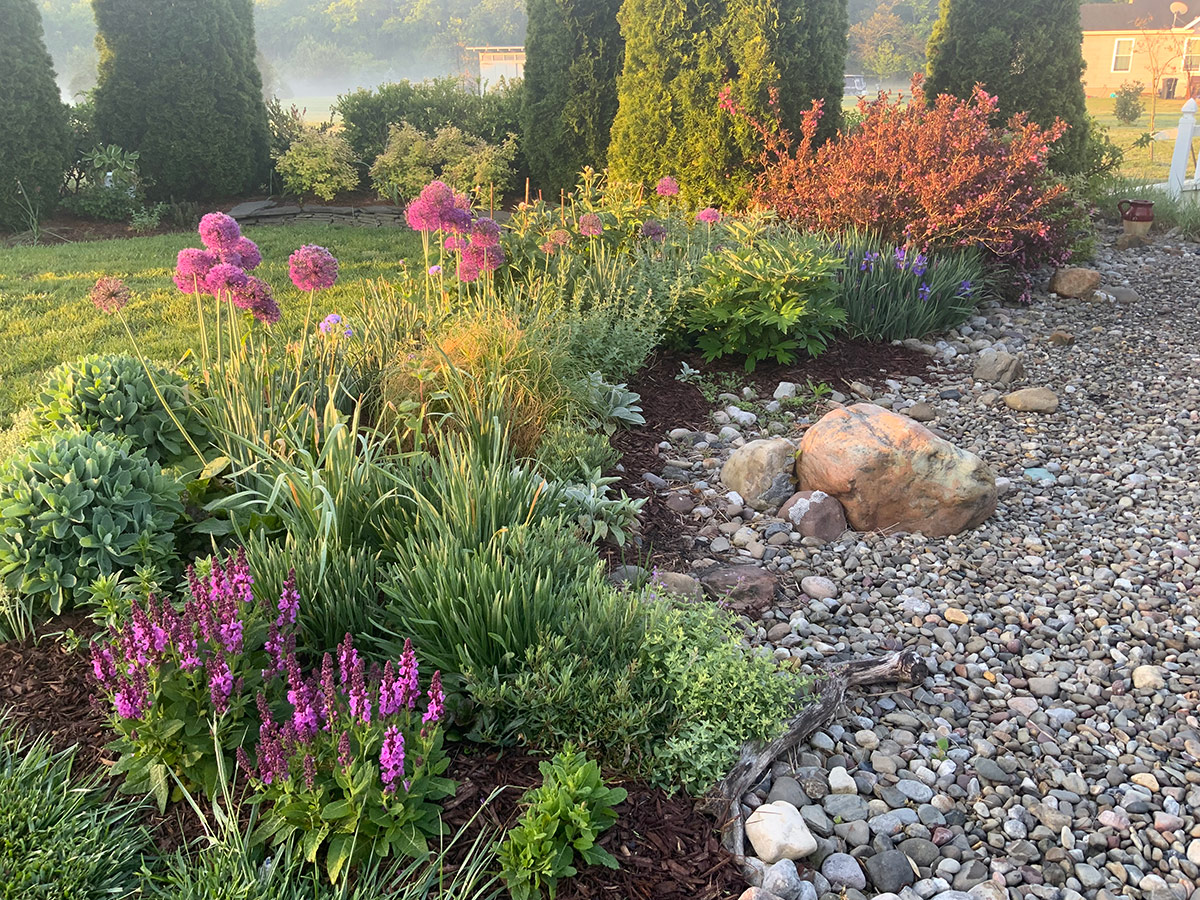 garden border