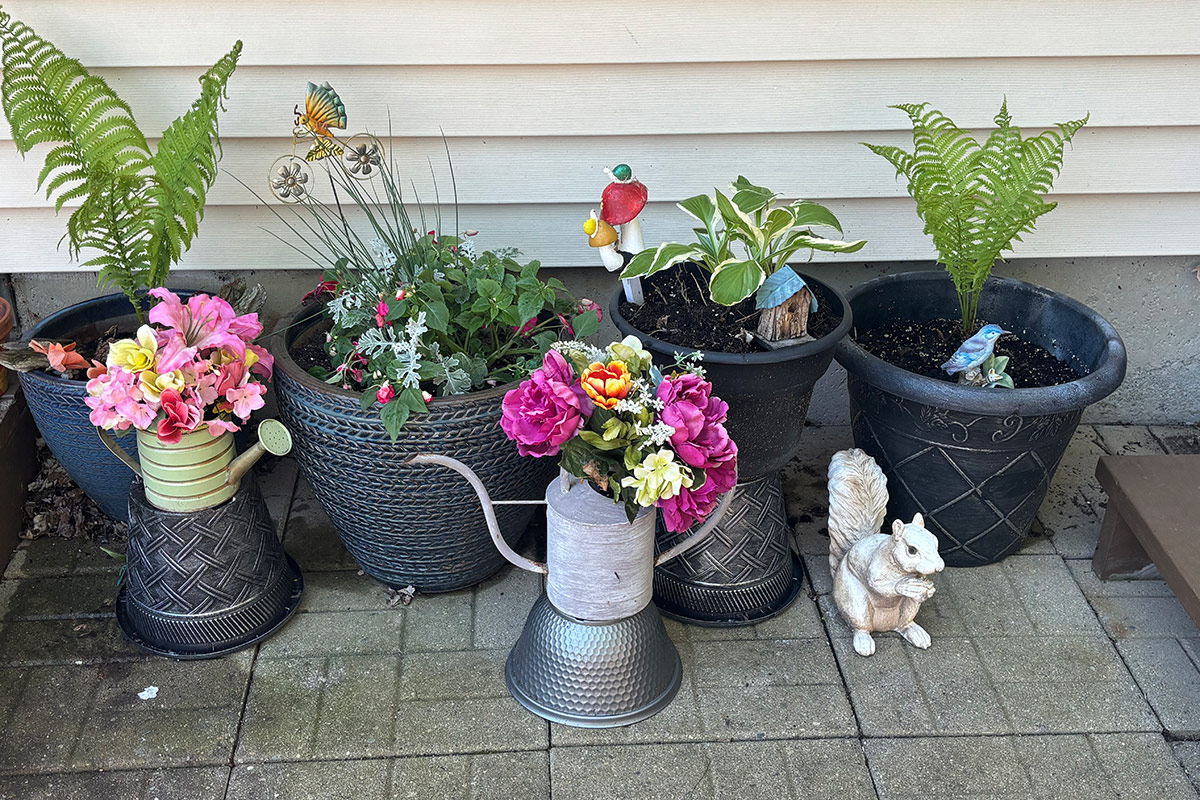 small container garden