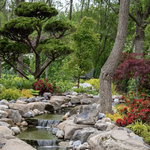 Planting Plans for a Woodland Garden Full of Texture - Fine Gardening