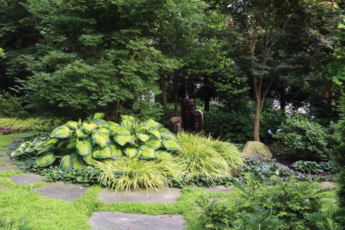 Stone water feature with Hostas