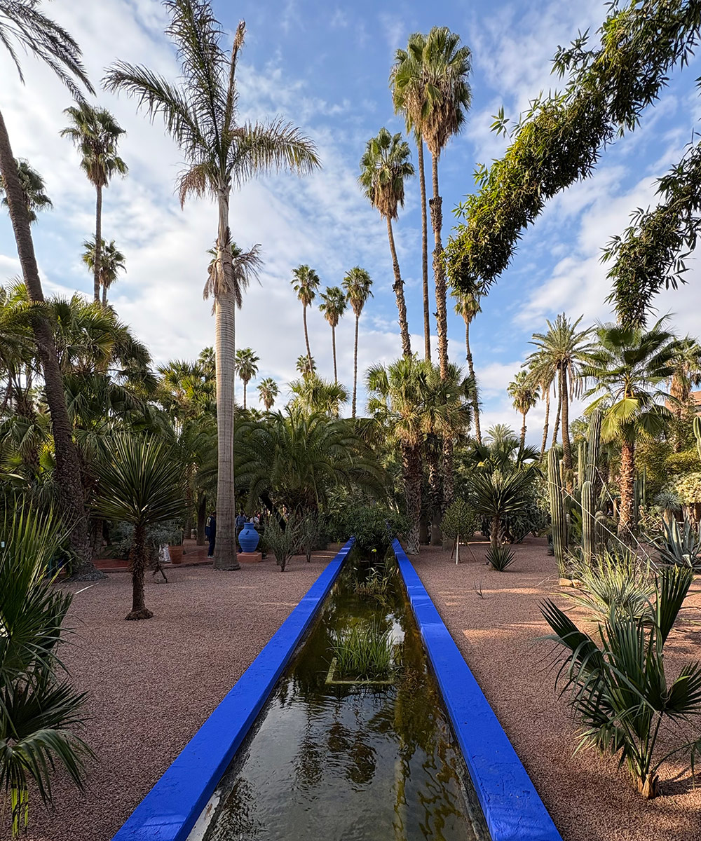 linear reflecting pool in gravel garden