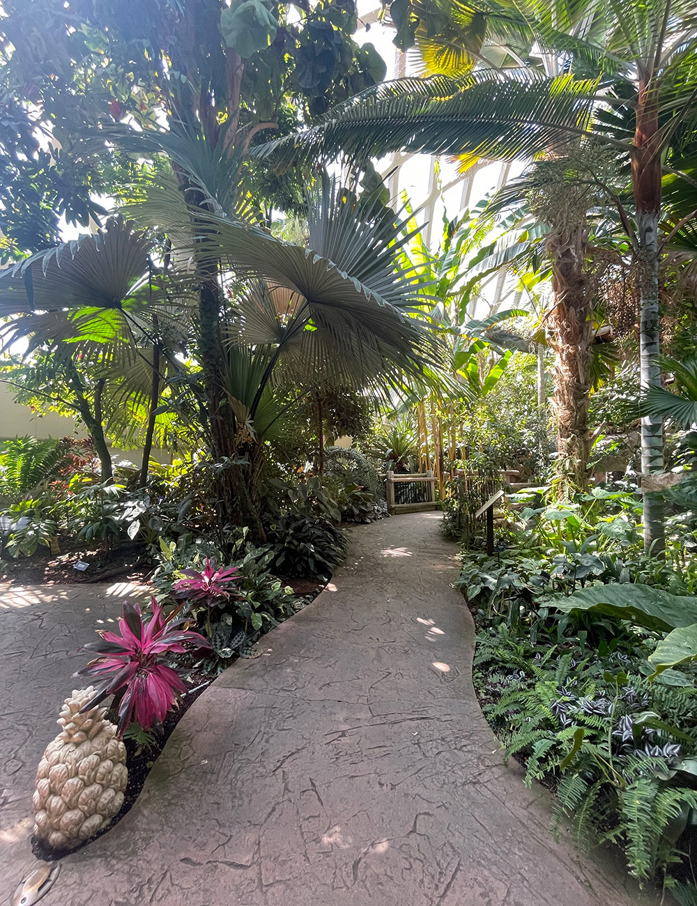 Boettcher Memorial Tropical Conservatory