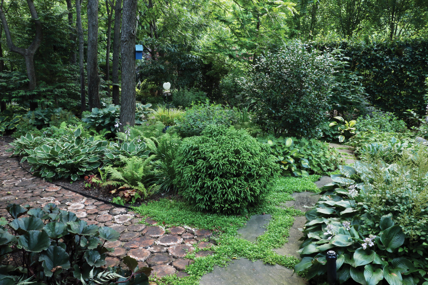 Stone and tree cookie paths by Diana Koehm
