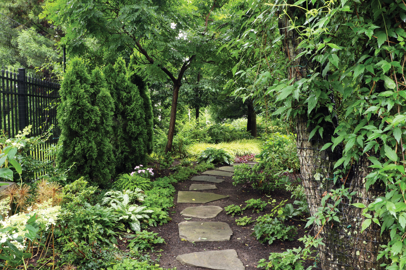 Woodland walkway flagstone pathway by Diana Koehm