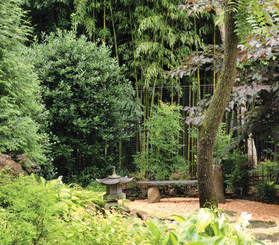 Japanese garden with bamboo by Diana Koehm
