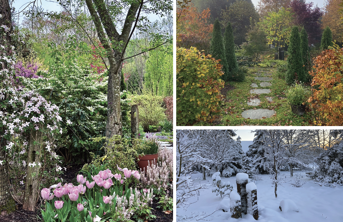 Tsikata woodland garden throughout the seasons collage