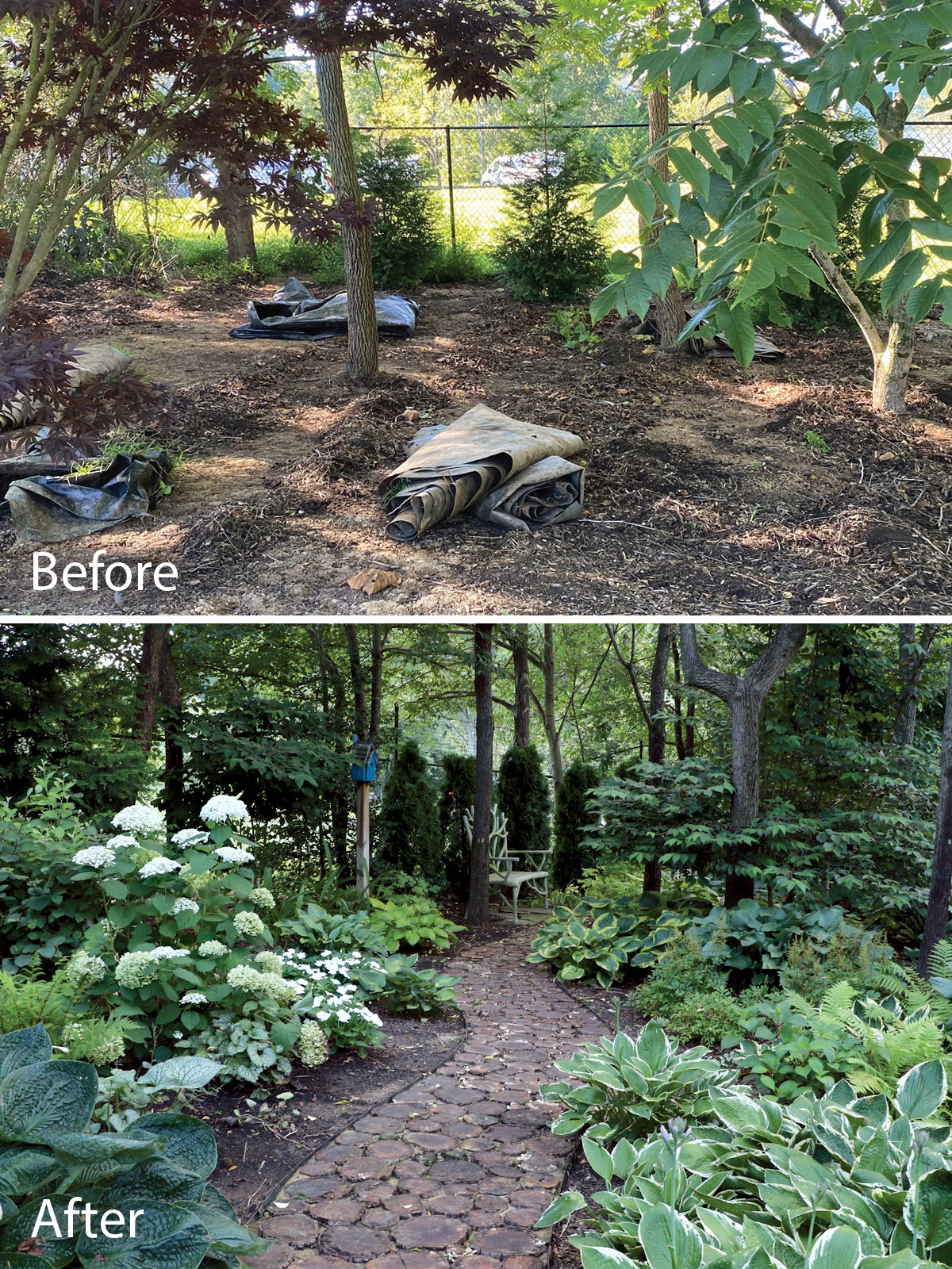 Tsikata before and after photo