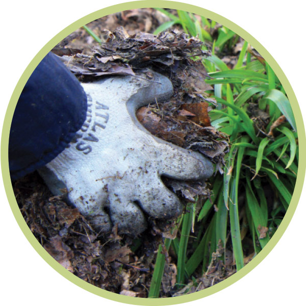 Improve soil