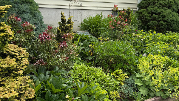 Carol's Cottage Garden in Pennsylvania - Fine Gardening