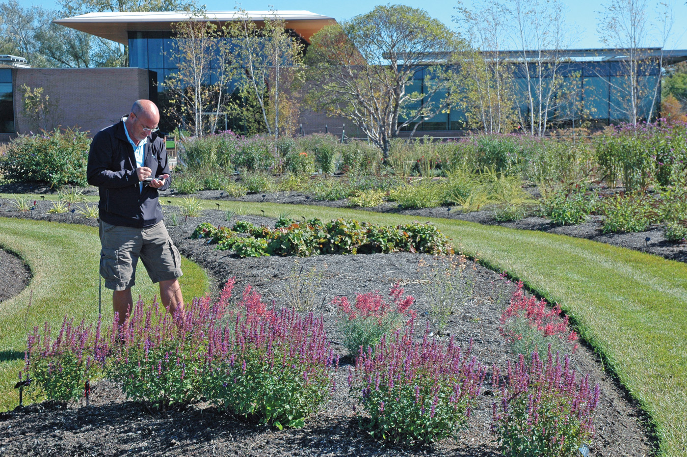 Evaluating plants_ctsy Richard Hawke