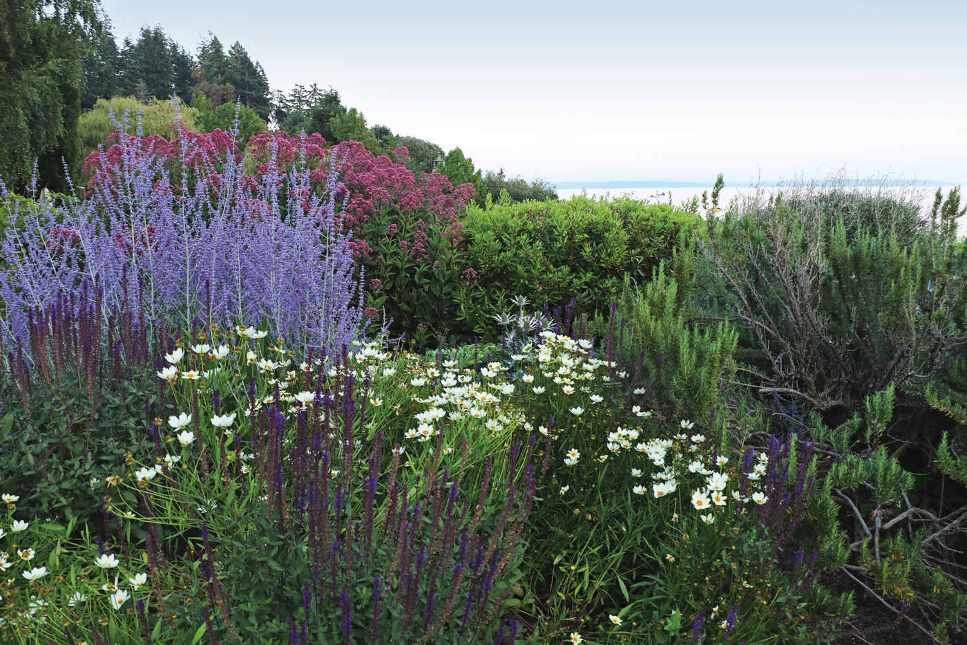 Diverse planting scheme photo by Diana Koehm