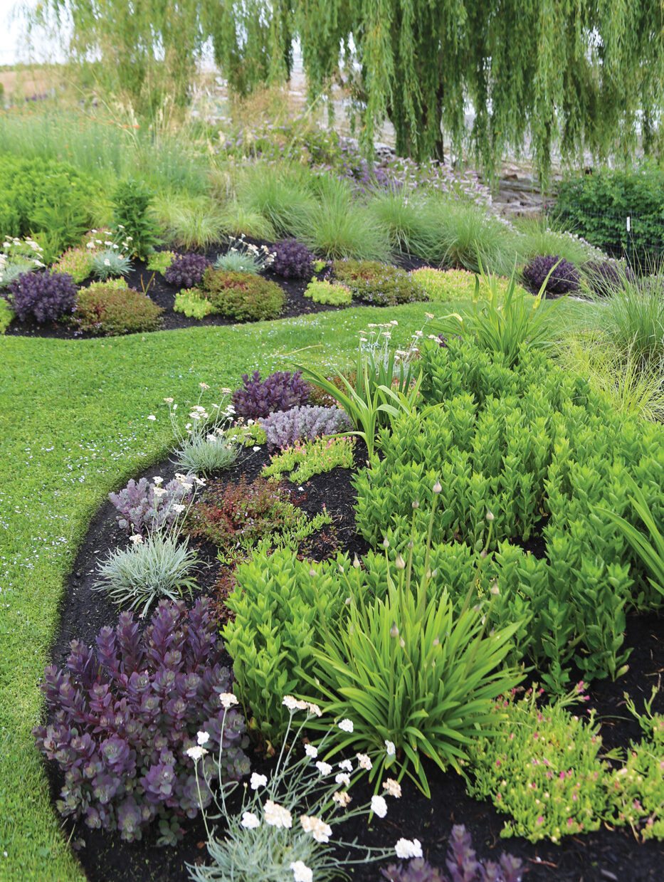 Repeating colors in a garden bed photo by Diana Koehm
