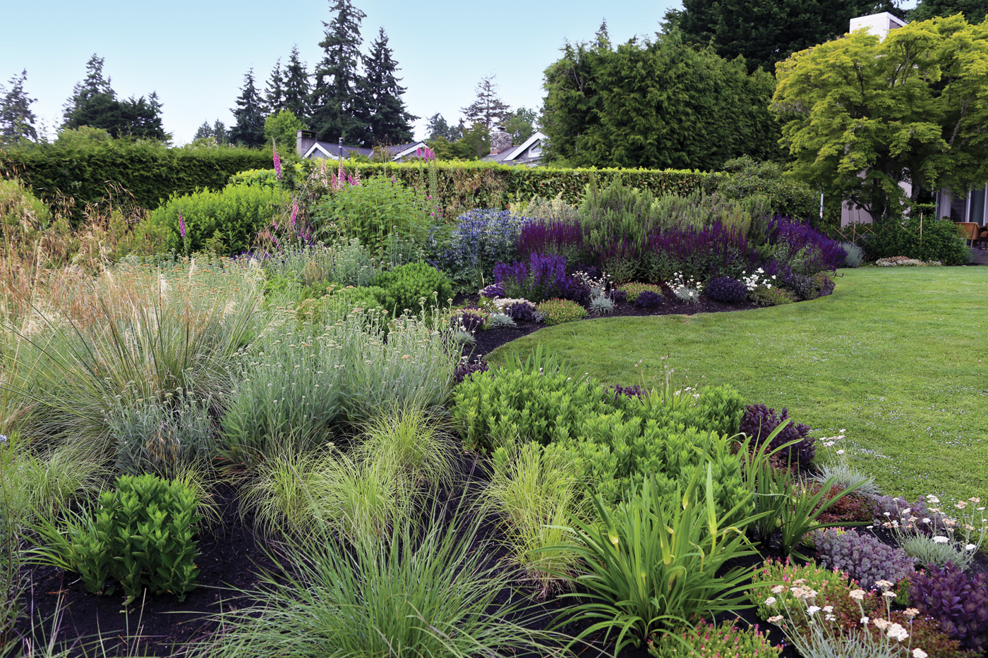 Creating privacy with plants photo by Danielle Sherry