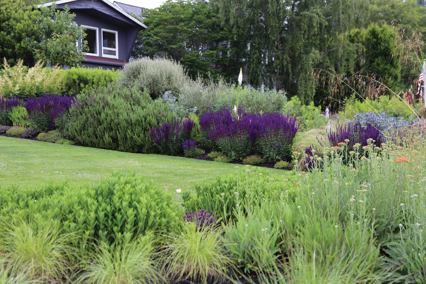 Planting drifts photo by Danielle Sherry