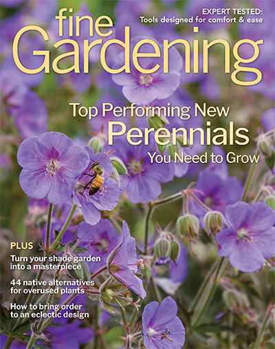 Autumn Herbs in the Ozarks - Fine Gardening