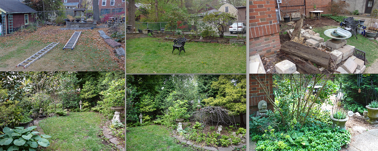 before and after garden photos