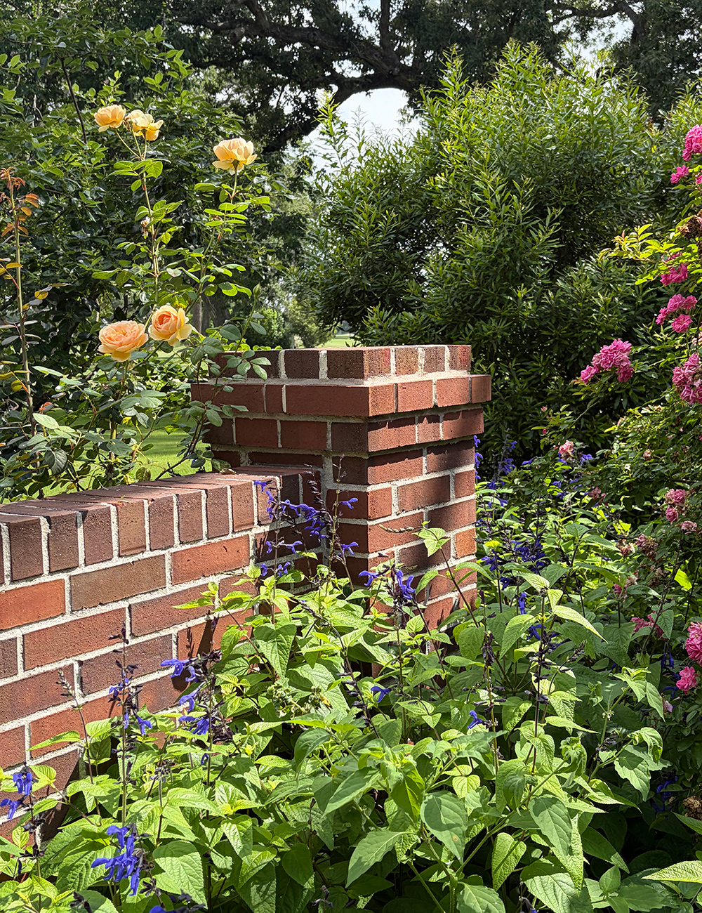 brick wall in garden