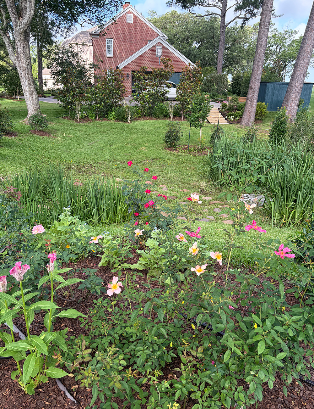 wildflower garden